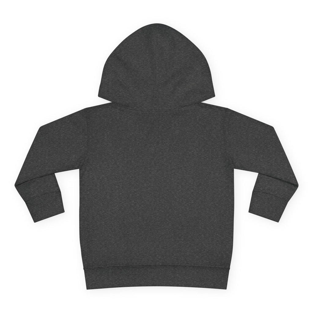 Mess Division Toddler Hoodie | Matchy Mums