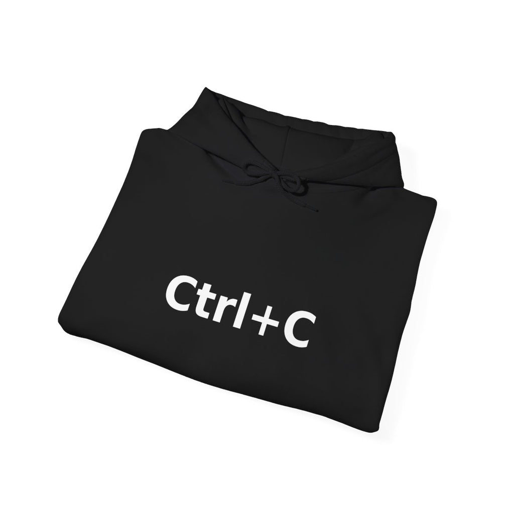 Copy Paste Bundle: Ctrl+C Hoodie + Ctrl+V Toddler Hoodie